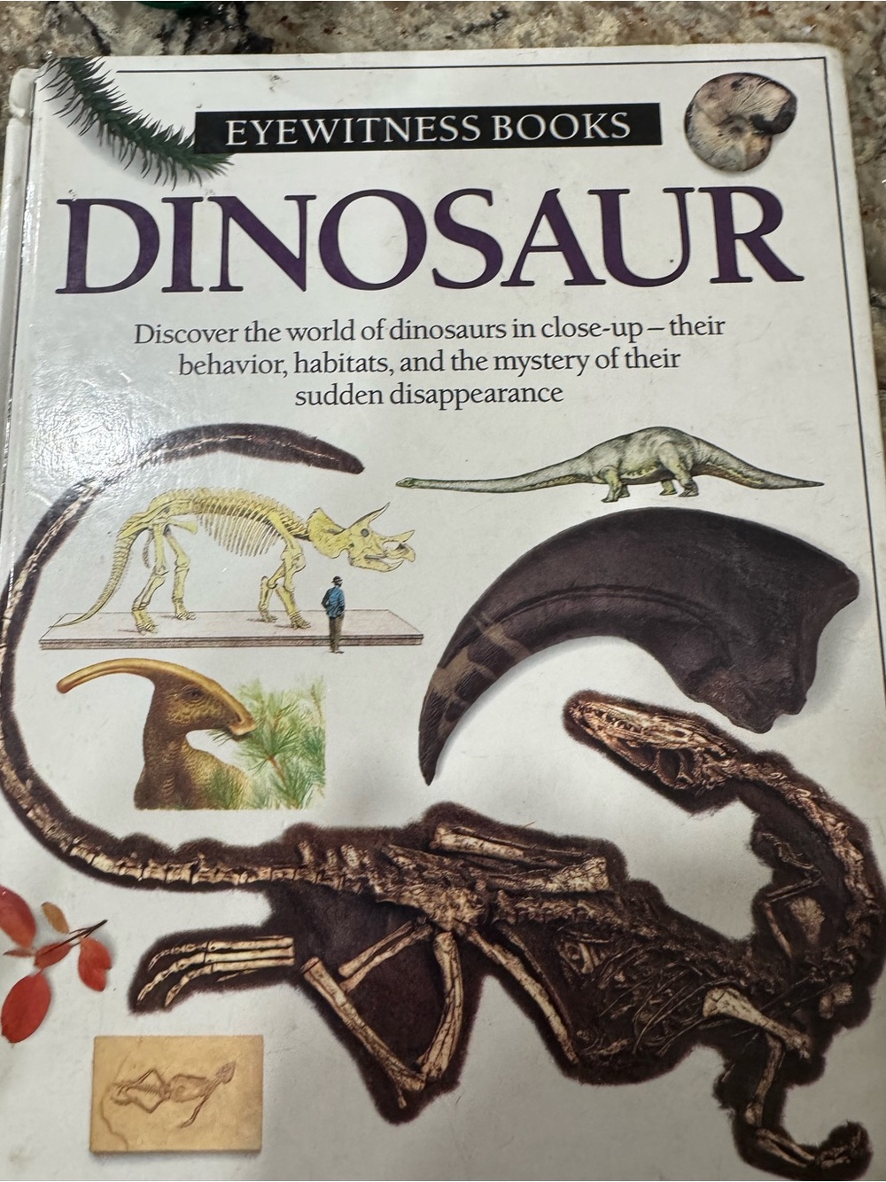 Discover The World Of Dinosaurs In Close Up Book (CL-3)